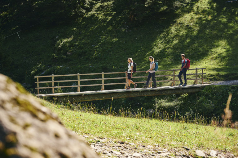 Wandern-zwischen-Bergstation-Mellaubahn-und-Alpe-Kanis